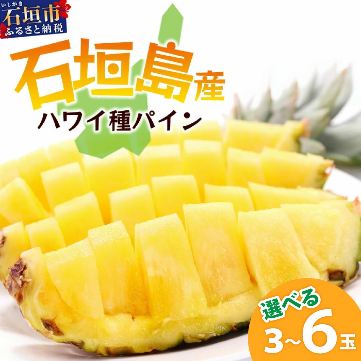 【ふるさと納税】【先行予約】《2026年6月上旬頃より順次発送》石垣島産 ハワイ種 パイン 3〜6玉 約3〜6kg｜ 産地直送 沖縄 石垣 パイン パイナップル フルーツ ハワイ種 ｜石垣さんちの石垣トロピカルファーム TP-4 TP-5 TP-6