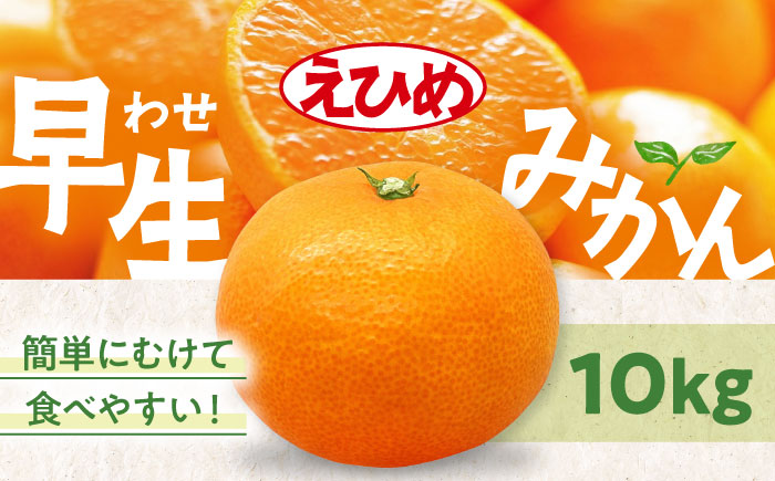 【先行予約】【11月中旬から順次発送】温州みかん（早生） 10kg 愛媛県大洲市/永沼農園 [AGAW017]温州ミカン うんしゅうみかん  みかん  フルーツ ミカン 果物 くだもの 愛媛みかん デザート おやつ 冬果物 青果