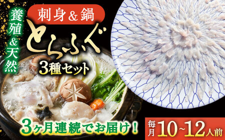 【2027年2月-初回発送】【3回定期便】南島原ふぐ三昧プレミアム 10人-12人前 / ふぐ フグ 河豚 トラフグ ふぐ刺し / 南島原市 / 大和庵 [SCJ033]