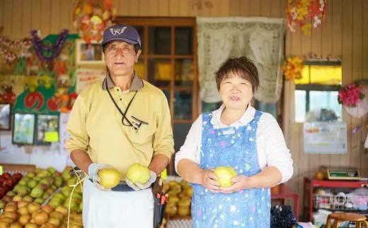 【数量限定・先行受付】糸屋果樹園の「中山なし」3kg 45P3404 /　梨 ナシ 和梨 幸水 豊水  果物 くだもの フルーツ 東北 秋田 大館 中山地区 中山なし 中山梨 なかやまなし【糸屋果樹園