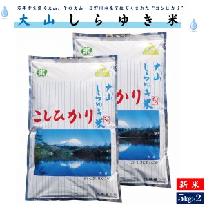 令和6年産  大山しらゆき米10kg(精白、コシヒカリ、5kg×2)  コシヒカリ こしひかり