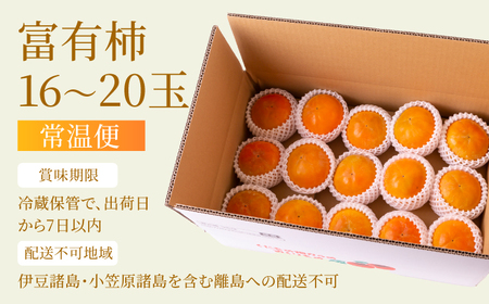 【先行予約】有機配合肥料使用 富有柿 16玉から20玉 2026年11月上旬から11月下旬 出荷予定【春光園】 柿 かき 甘柿 甘い 果物 フルーツ