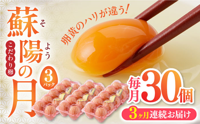 【全3回定期便】熊本県産 蘇陽の月 30個入り ( 10個入り × 3パック ) 山都町 たまご 卵【蘇陽農場】 [YBE018]