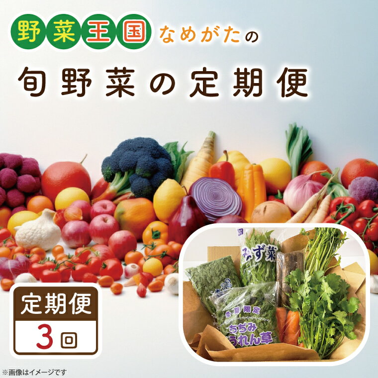 【ふるさと納税】【3ヶ月定期便】野菜王国なめがたの旬野菜の定期便｜CU-128