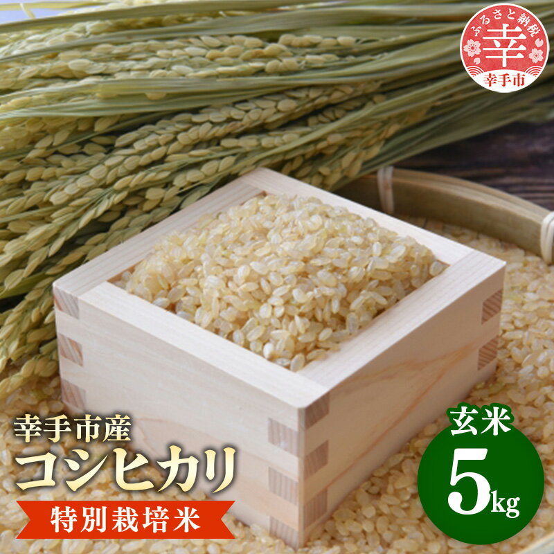 【ふるさと納税】【令和7年産】有機肥料 100％ 埼玉県幸手市産特別栽培コシヒカリ 玄米 5kg - コシヒカリ こしひかり 米 玄米 5kg 有機肥料 特別栽培幸手市産 埼玉県 幸手市