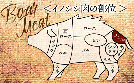 奥能登 穴水産 天然猪肉 ランプ 120g×5枚 計600g / ジビエ