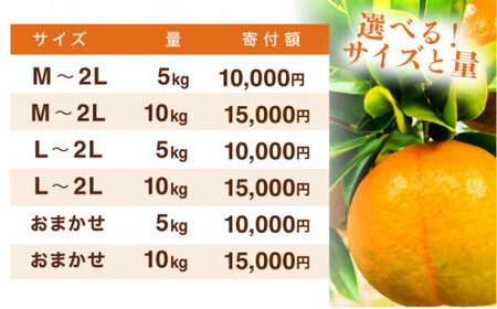 NT2-7-04【kg数が選べる】 ＜秀品ポンカンL?2L　10kg＞