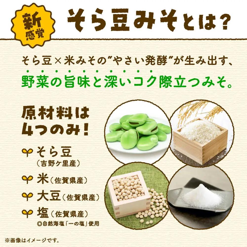 そら豆味噌 450g×3個 生みそ 高オレイン酸大豆 一の塩 そら豆 吉野ヶ里町/イデマン味噌醤油醸造元[FAF035]