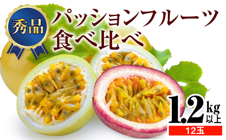 【2025年発送】特選　パッションフルーツ食べ比べ　1.2kg以上　12玉　紫色系統・黄色系統の混合