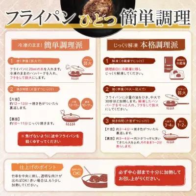 Y61-37 極生ハンバーグ 5個セット(150g×5) ハンバーグ
