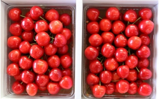 08-09-003　さくらんぼ(佐藤錦)1kg