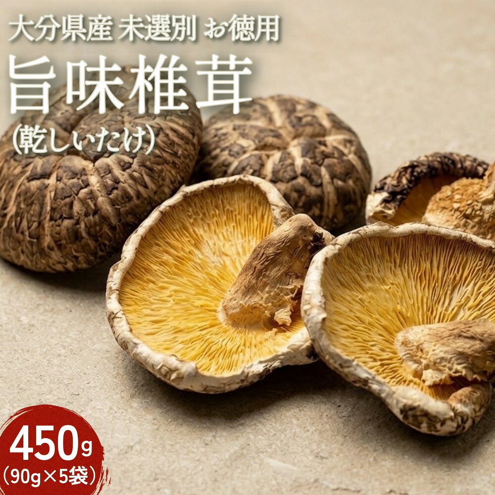 【ふるさと納税】大分県産 旨味椎茸未選別 お徳用 450g（90g×5袋）（乾しいたけ）