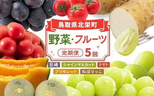 
                  1015.【先行予約 2026年8月以降発送】 鳥取県北栄町から旬の美味しさをお届け！特産づくし【5回定期便】（巨峰・シャインマスカット・プリモレッド・トマト・ねばりっこ）【ぶどう ブドウ 葡萄 巨峰 種なし 種無し 2kg シャインマスカット マスカット メロン トマト 野菜 長芋 人気 定期便】
                