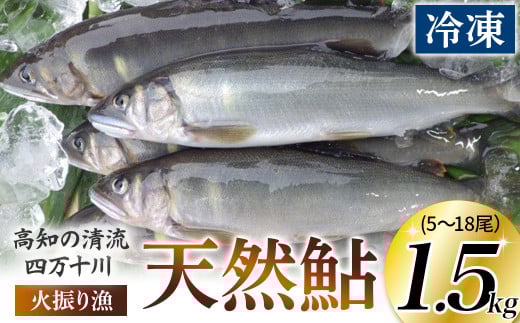四万十川上流の天然鮎　冷凍　火振り漁鮎（5～18尾）【着日指定不可】Esj-13k あゆ アユ 魚 魚介 川魚 塩焼き 冷凍