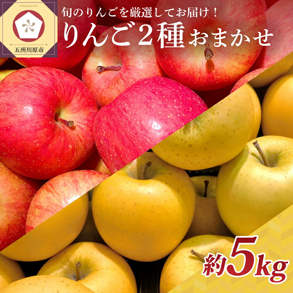 【ふるさと納税】《特選～特秀》 りんご 2品種おまかせ 5kg ( 配送時期が選べる 10月～1月)/ 林檎 リンゴ アップル 常温保存 贈り物 ギフト 贈答 秋 旬 果物 くだもの フルーツ 10月 11月 12月 1月 青森県 五所川原市