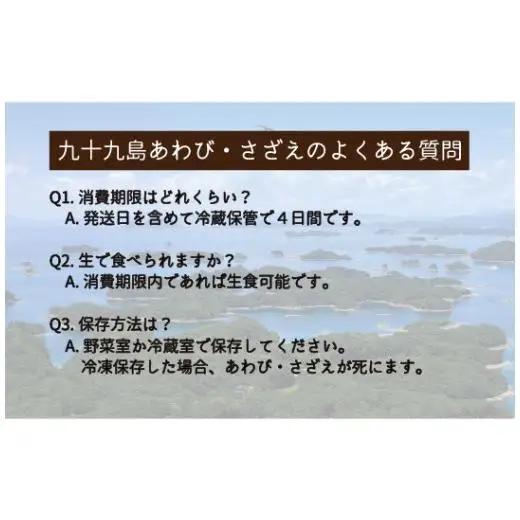 産地直送【 あわび・さざえセット】生食可 2.8kg あわび A180
