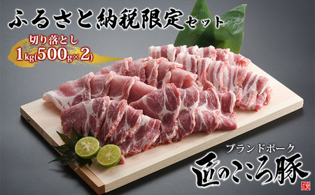 ブランドポーク「匠のこころ豚」切り落とし1kg（500g×2）ふるさと納税限定セット【◎安全・安心　JGAP・農場HACCP認証取得】 お肉 豚肉 バラ 炒め物 