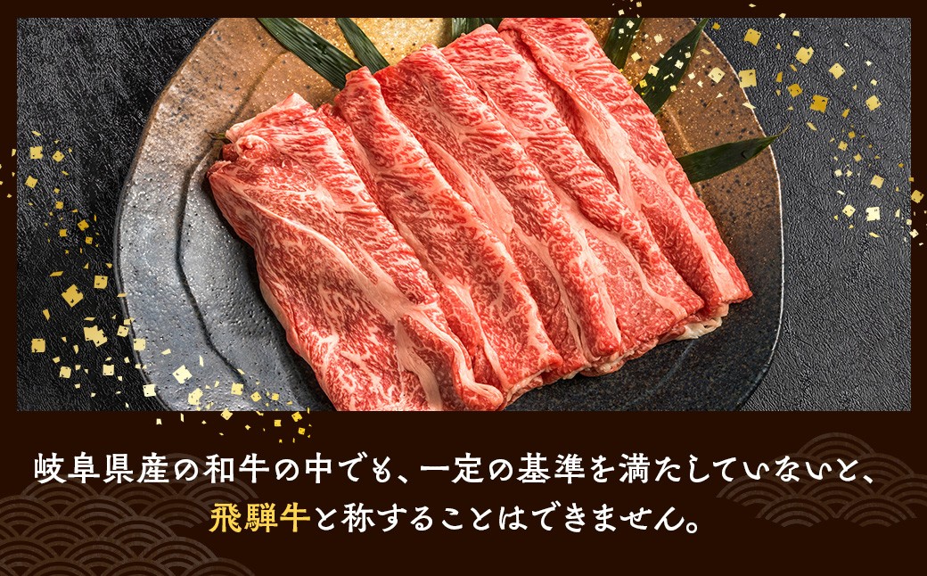【9ヵ月定期便】飛騨牛切り落とし 500g ｜ 牛肉 和牛 国産 切り落し 切落し 定期便 スライス すき焼き カレー 赤身 赤身肉 牛 肉 夜ごはん 晩ごはん ご飯 おかず おすすめ 瑞穂市 岐阜県