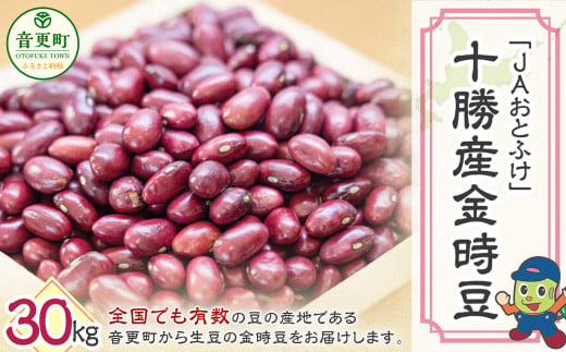 令和7年産 金時豆30kg「JAおとふけ」【D44】 きんときまめ 北海道