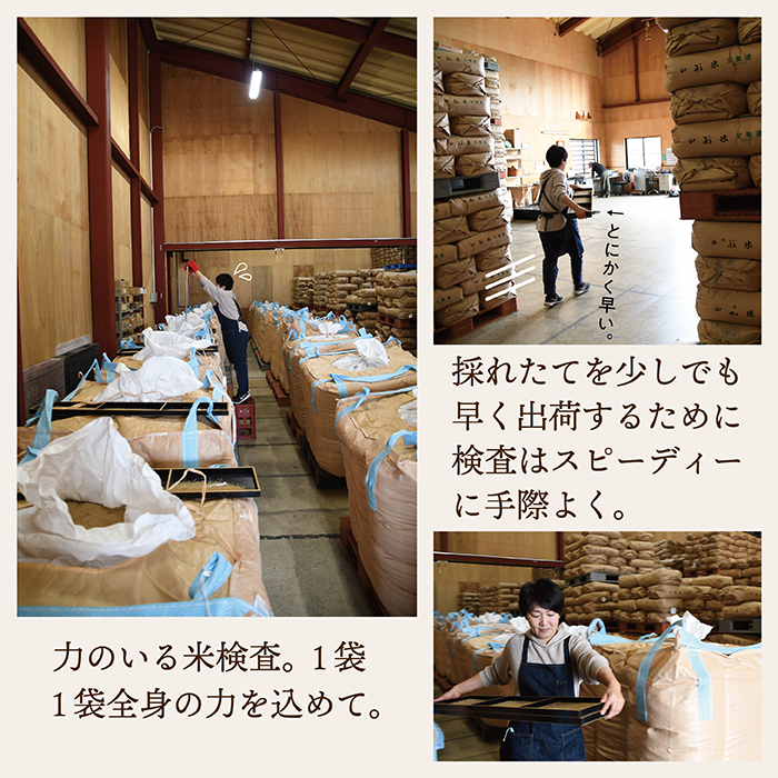 【定期便】【無洗米】 令和8年産予約 山形県産 つや姫 5kg × 3回配送