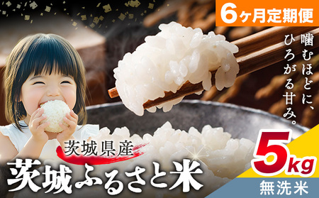 無洗米5kg6回定期便《翌々月から出荷開始》米6ヶ月【茨城県共通返礼品】