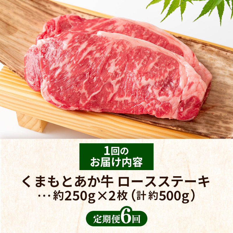 【定期便6回】 GI 認証 くまもとあか牛 ロースステーキ 約500g - 肉 お肉 牛肉 くまもとあか牛 あか牛 和牛 ステーキ ロース 冷凍 国産 九州産 熊本県産 熊本県 甲佐町_イメージ5