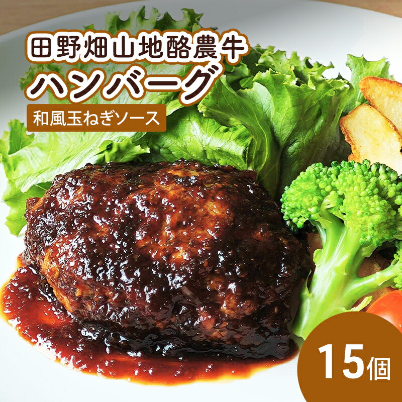 【ふるさと納税】 田野畑山地酪農牛ハンバーグ 和風玉ねぎソース 15個 牛肉 肉 牛 惣菜 おかず お弁当 冷凍 小分け 個包装 湯煎 温めるだけ 簡単調理 レトルト 岩手県 盛岡市 東北 岩手 盛岡 有限会社 秀吉