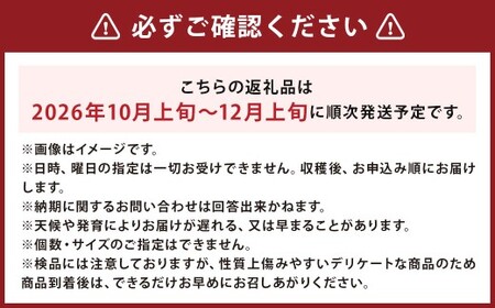 【先行受付】北海道産 情熱じゃが芋（男爵） Lサイズ 計約5kg 株式会社マルエイ商事 じゃがいも じゃが芋 ジャガイモ 芋 いも イモ 国産【2026年10月上旬～2026年12月上旬迄発送予定】