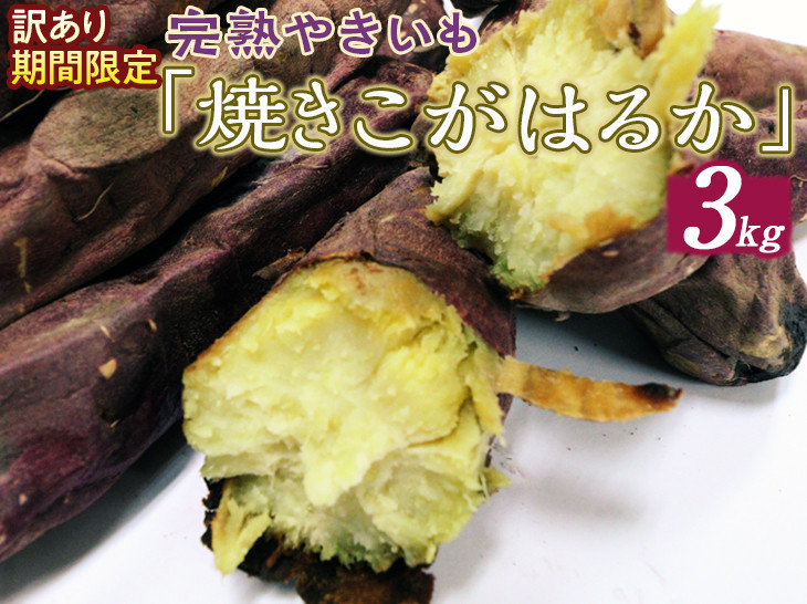 
訳あり 期間限定 完熟やきいも「焼きこがはるか」(3kg) ※着日指定不可 ※離島への配送不可 | 焼き芋 さつまいも 3キロ 紅はるか 冷凍 おやつ スイーツ 国産 ギフト 贈答 贈り物 プレゼント 茨城県 古河市 直送 農家直送 産地直送 送料無料_CM04
