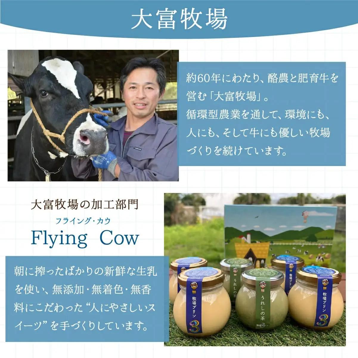 大富牧場の無添加ヨーグルト プレーンヨーグルト600g×1