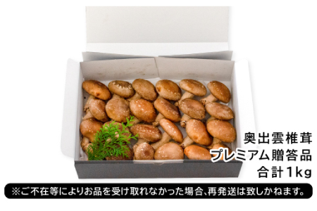 「奥出雲椎茸」プレミアム贈答品【椎茸 生しいたけ 1kg 収穫直後 サイズ混合 新鮮 旨味たっぷり 菌床栽培 国産 きのこ キノコ 野菜 料理 食品 産地直送 自宅用】