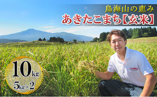 
農家直送 ひの米 あきたこまち 10kg(5kg×2袋 玄米)
