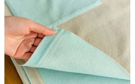 ストール CLEMATIS リバーシブル和紙ストール ( 折り返しポケット・ミント ) レディース | 大判 ストール リバーシブル 和紙 おしゃれ シンプル マフラー 春夏 春 夏 新潟県 五泉市 