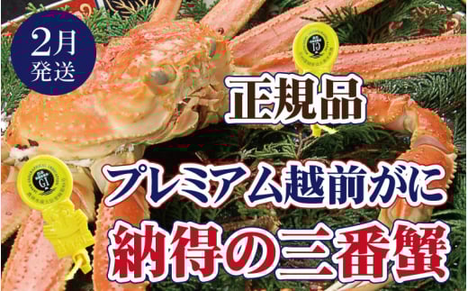 越前がに本場の越前町からお届け！ 越前がに × 1杯（三番蟹）納得のプレミアム越前がに【2月発送分】【生でお届け】希望日指定可 備考欄に希望日をご記入ください [e37-x004【】02a]