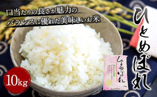 
【令和6年産新米】大分県産 ひとめぼれ 10kg 【2024年10月下旬発送開始予定】
