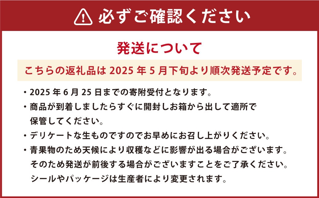 熊本県産 金色羅皇 ( 高級 西瓜 ) 約5kg