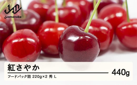 
            《先行予約》2025年 山形県産 さくらんぼ 紅さやか フードパック詰 440g(220g×2 ) 秀 L 2025年6月上旬から順次発送  F20A-001
          