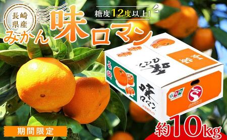 【糖度12度以上！】長崎県産 みかん 味ロマン 約10kg ＜期間限定／先行予約＞【2025年11月中旬以降順次発送】