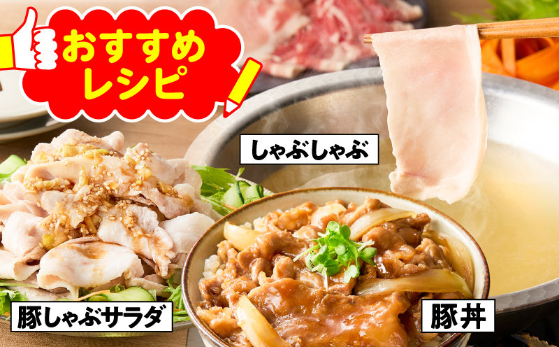 鹿児島県産豚バラエティセット 3.3kg　KN165-001