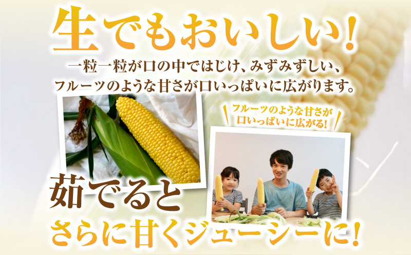 【12月限定価格】朝採れ!プレミアム味来4.5kg以上(2L～L)・S064_c2