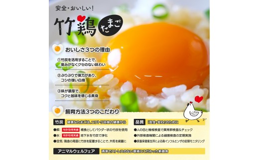 【配送地域限定】【定期便3回】＜白石蔵王育ち＞「竹鶏たまご」30個（保証5個含む）