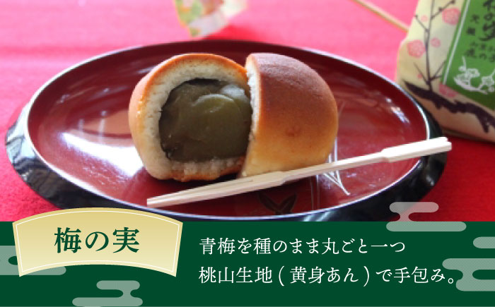 【老舗の菓子屋 鹿の子】和菓子 詰め合わせ「いろどり」4種 20個《築上町》【有限会社 御菓子司 鹿の子】 [ABAC013]