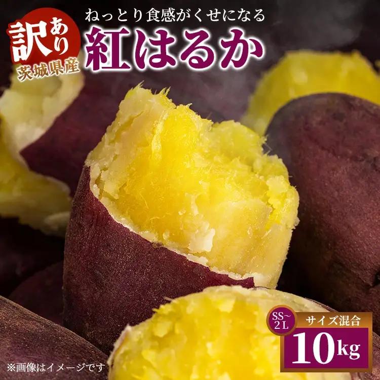 【ふるなびWEEK対象】【訳あり】生芋10kg　SSサイズ～2Lサイズ（サイズバラ） ※離島への配送不可 ※2025年12月下旬頃より順次発送予定