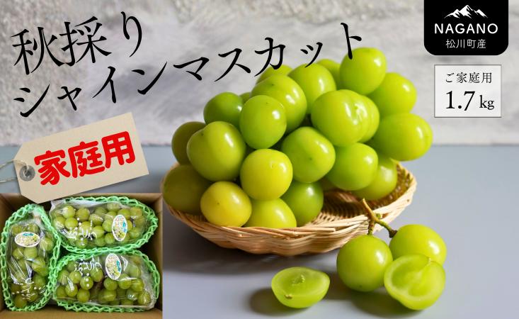 
            KG16-25A 【出荷中！】シャインマスカット 家庭用  約1.7kg （2～4房）｜ 長野県 南信州 松川町 葡萄 ぶどう ブドウ 産地直送 農家直送 シャインマスカット マスカット 種なし 皮ごと  果物 フルーツ 訳あり 家庭用 随時発送 今月発送
          