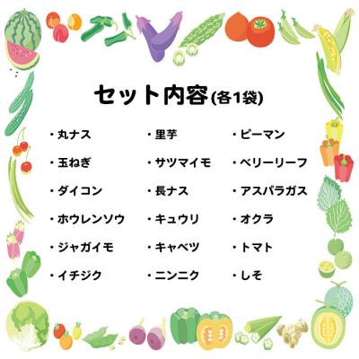 ふるさと納税 西予市 <せいよ旬の野菜・果物詰合せセット>　青果　フルーツ　どんぶり館　自然 |  | 01