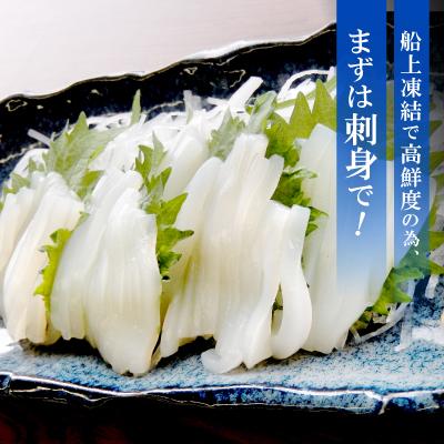 ふるさと納税 能登町 石川県産　船内凍結するめいか |  | 01