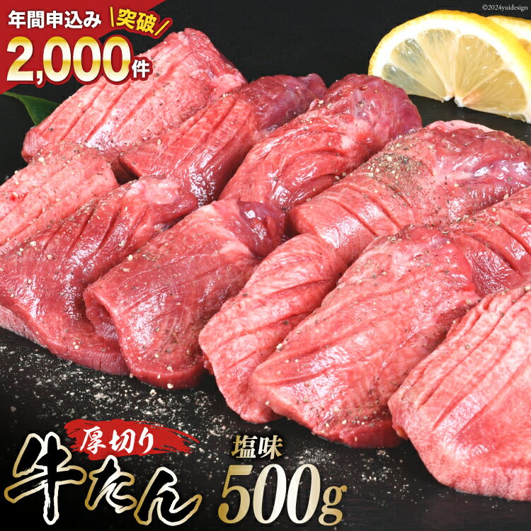 【ふるさと納税】厚切り牛タン 塩味 500g [亀山精肉店 宮城県 気仙沼市 20565156] 精肉 肉 牛肉 牛たん 牛タン ぎゅうたん タン タン塩 厚切り 味付き 冷凍 焼肉 焼き肉 BBQ アウトドア