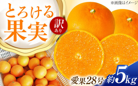 みかん 訳あり 愛果28号 約5kg フルーツ 果物 みかん 訳あり BJBG002