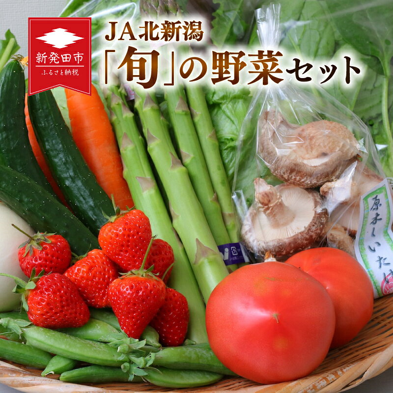 【ふるさと納税】 旬の野菜セット おまかせ 詰め合わせ アスパラガス トマト かぶ JA北新潟 野菜セット 直売所 食育ソムリエ 旬 新潟県 新発田市 C08
