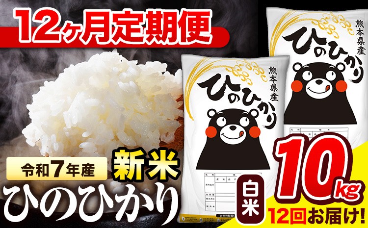 
            新米 令和7年産 白米 【12ヶ月定期便】 ひのひかり 10kg《お申し込み月の翌月から出荷開始》 熊本県産 白米 精米 氷川町 ひの 送料無料 ヒノヒカリ コメ 便利 ブランド米 お米 おこめ 熊本
          